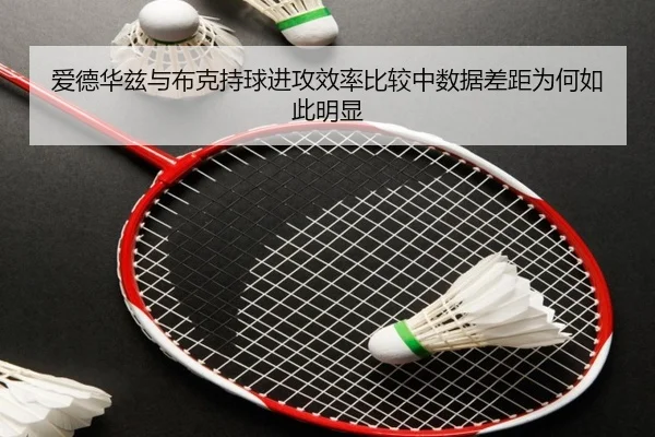 爱德华兹与布克持球进攻效率比较中数据差距为何如此明显